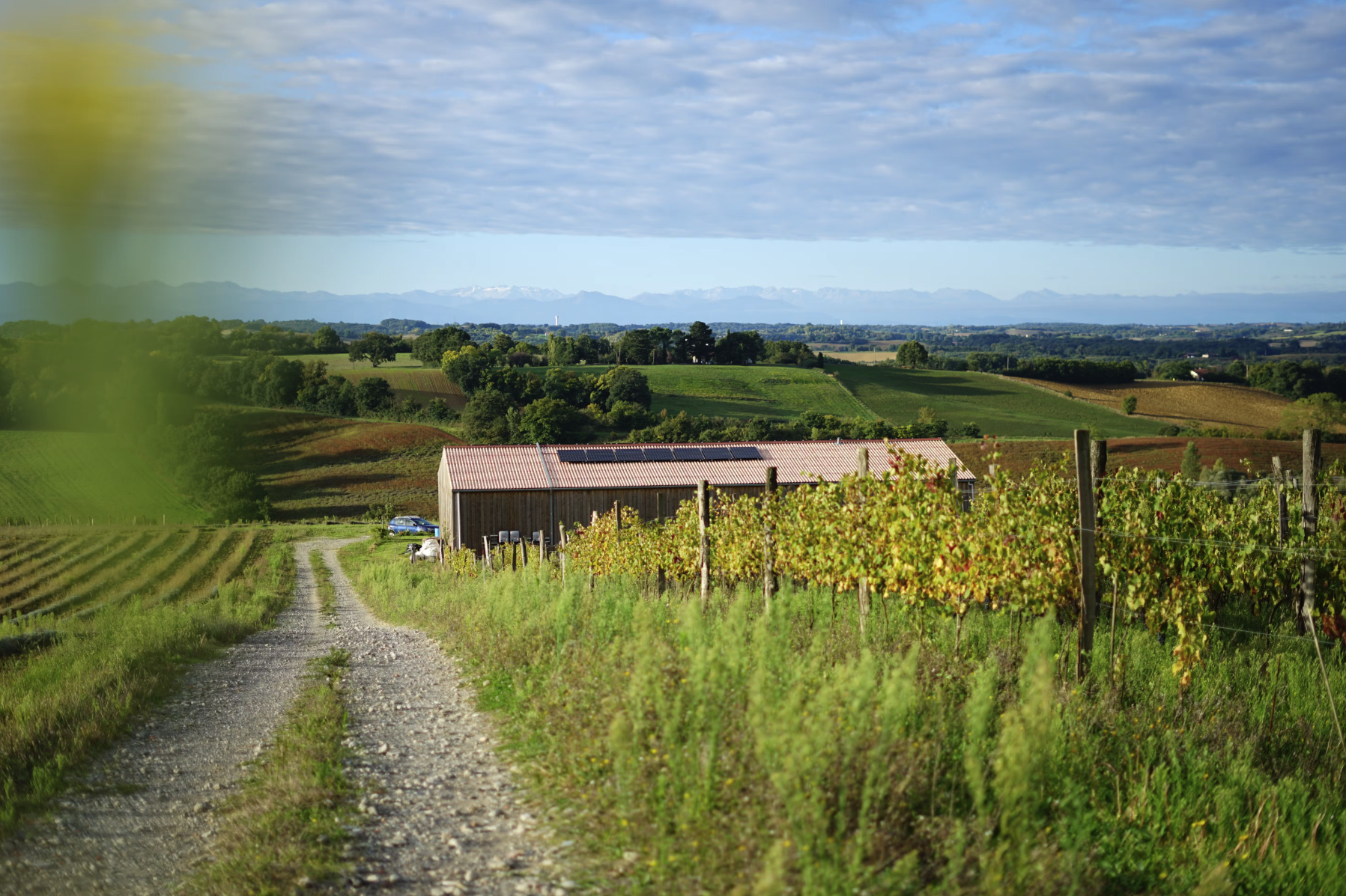 L’énergie solaire pour l’agriculture suisse – Épisode 1 : les vignerons