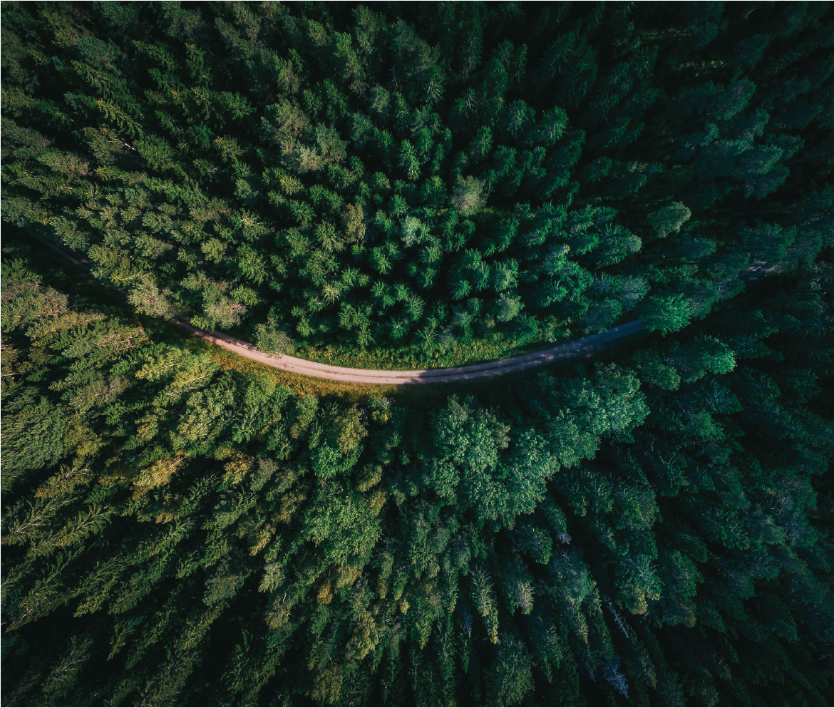 Journée mondiale de l’environnement
